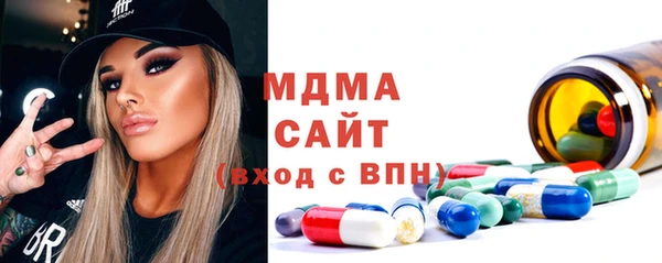 молекула духа Богданович