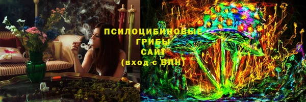 молекула духа Богданович